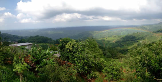 The Jayuya region of Puerto Rico